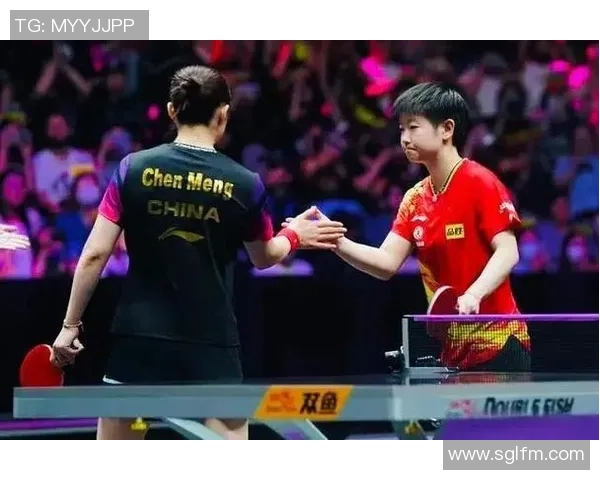 武汉羽毛球队与深圳羽毛球队赛后复盘分析比赛节奏与战术对比